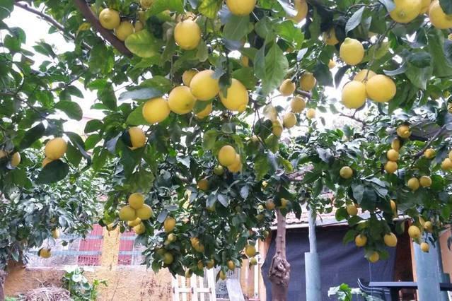 Affittacamere Antonella مونتيروسّو ال ماري المظهر الخارجي الصورة